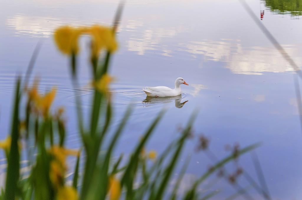 Stornoway Lodge Лансерия Экстерьер фото